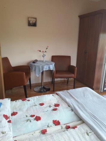 Pensjonat Aida Ciechocinek Esterno foto